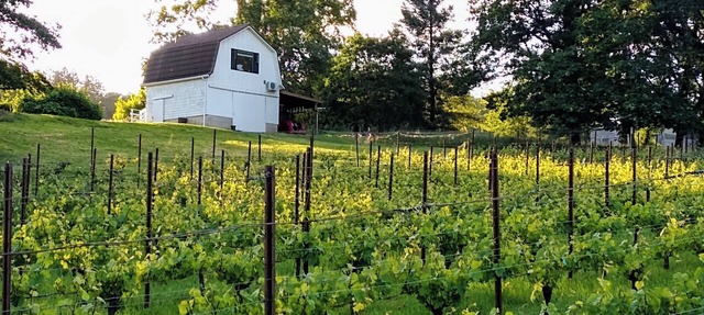 Vineyard Cottage Barn | Eola-Amity Hills Retreat in Salem