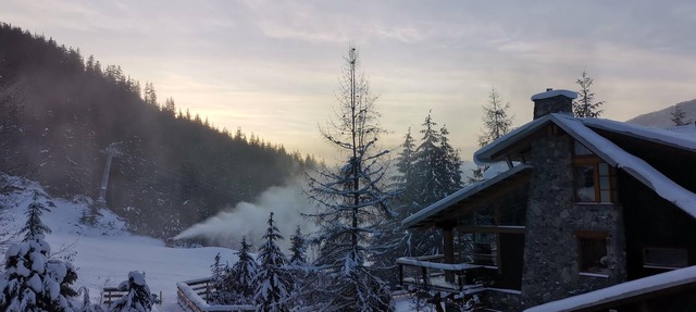 Whistler Ultimate Access. Ski out from your door on a private road. in Whistler