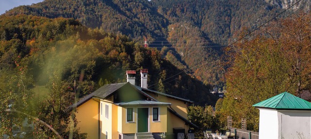 Your retreat between mountains and lakes—for families, friends, and dogs in Ebensee