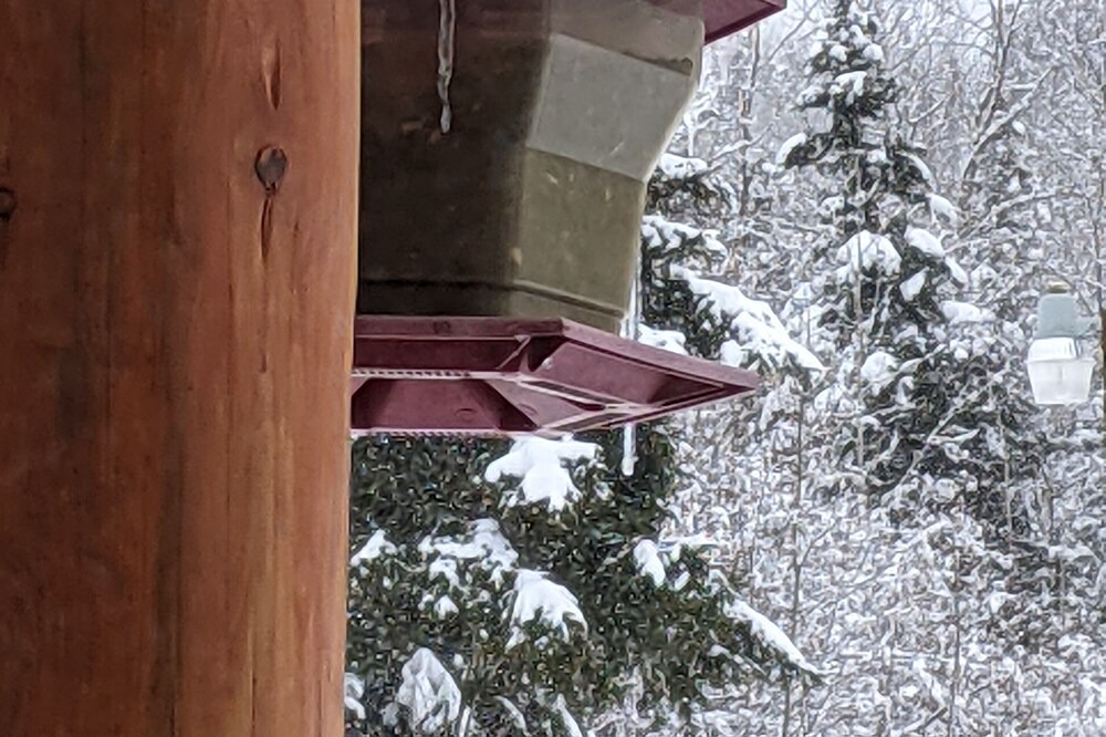 Photo of Others in Sainte-Anne-des-Monts