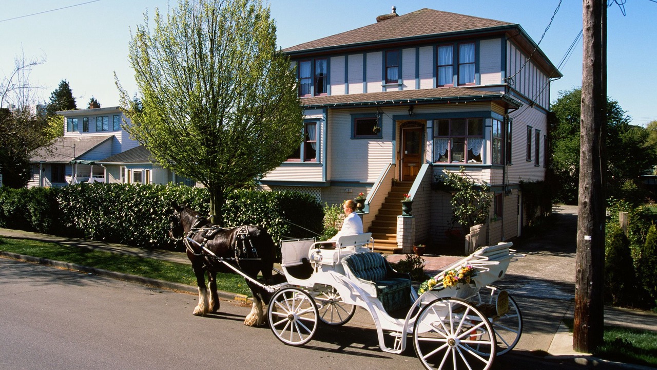 Photo of Outdoor in James Bay