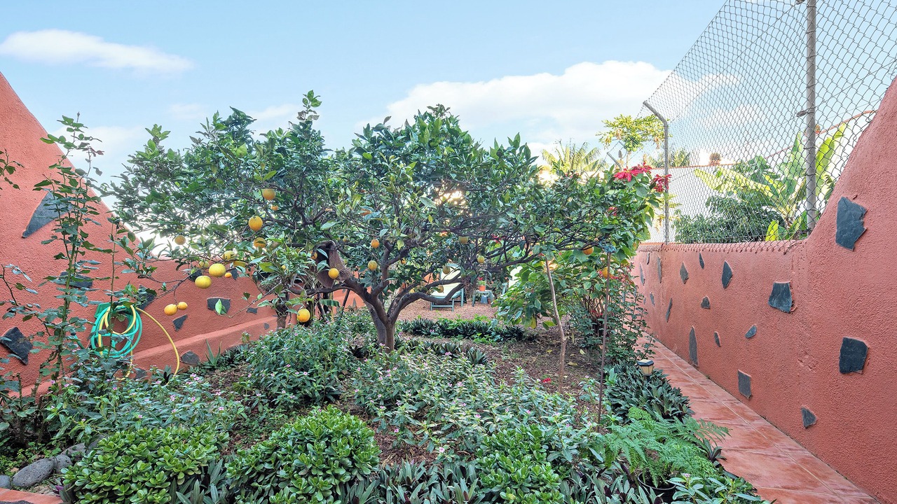 Photo of Outdoor in Buen Paso