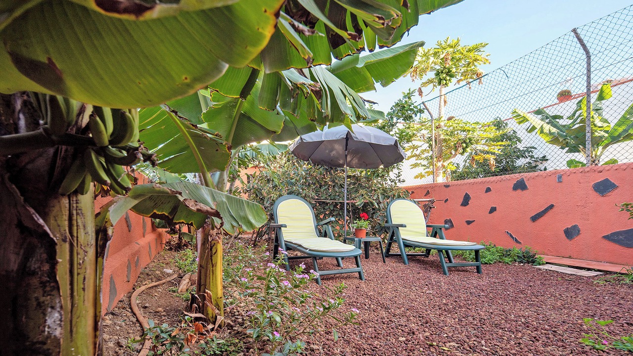 Photo of Outdoor in Buen Paso