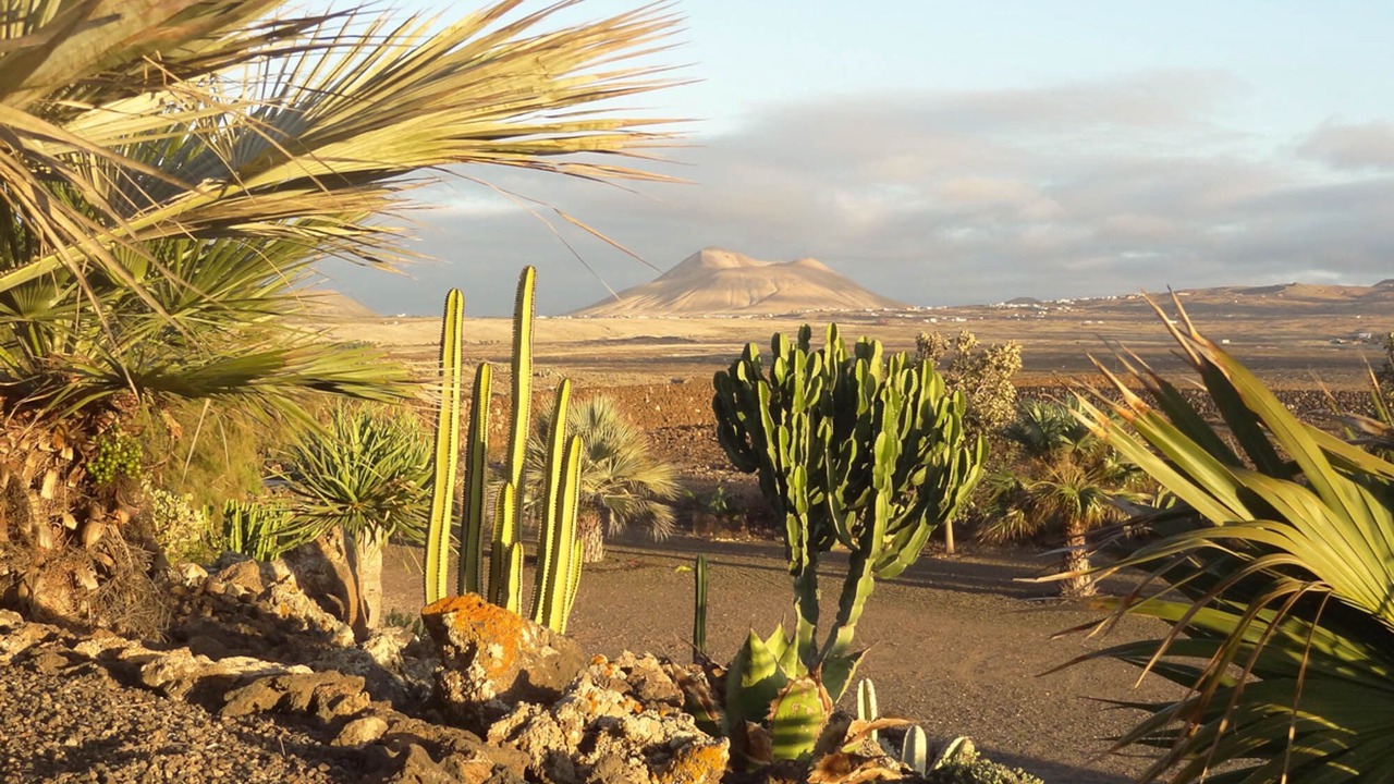 Photo of Outdoor in Lajares