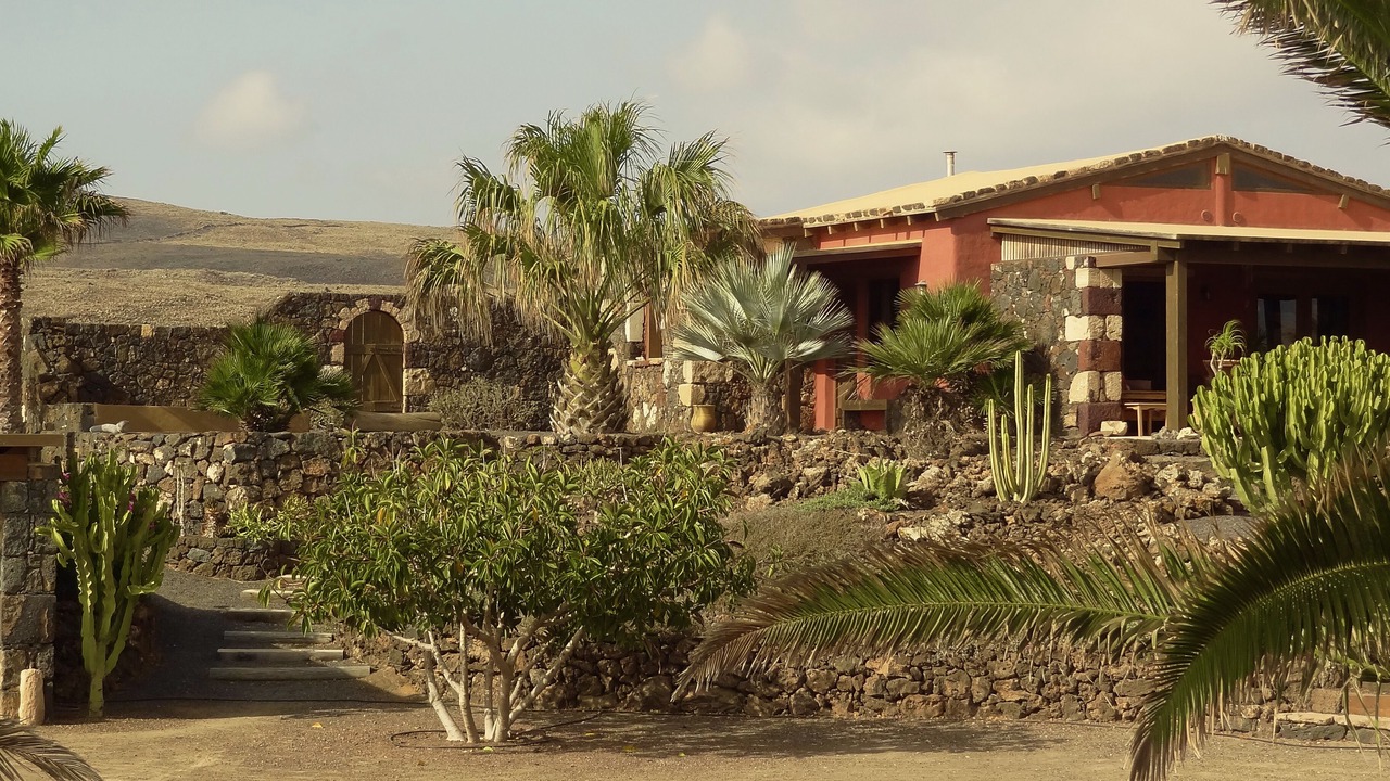 Photo of Outdoor in Lajares