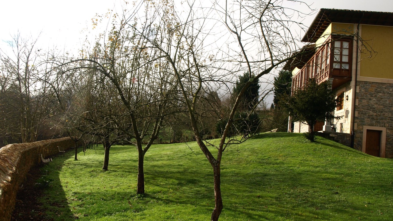 Photo of Outdoor in San Juan de Parres