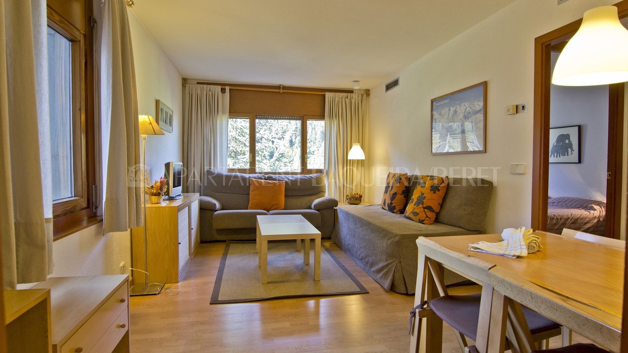 Photo of Livingroom in Baqueira
