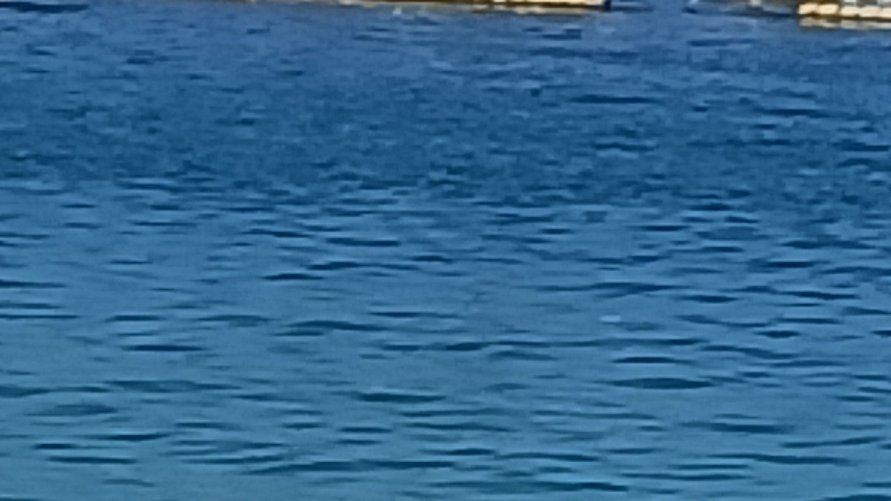 Photo of Others in Puerto Rico
