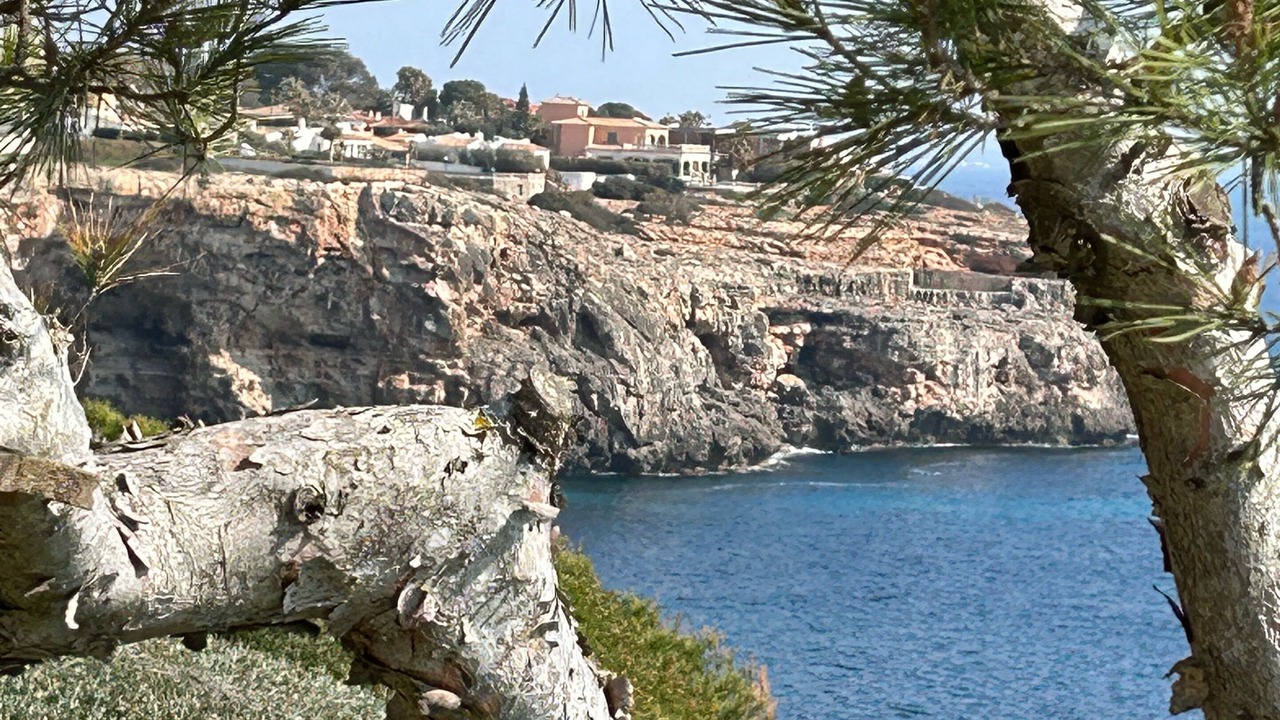 Photo of Others in Cala Pi