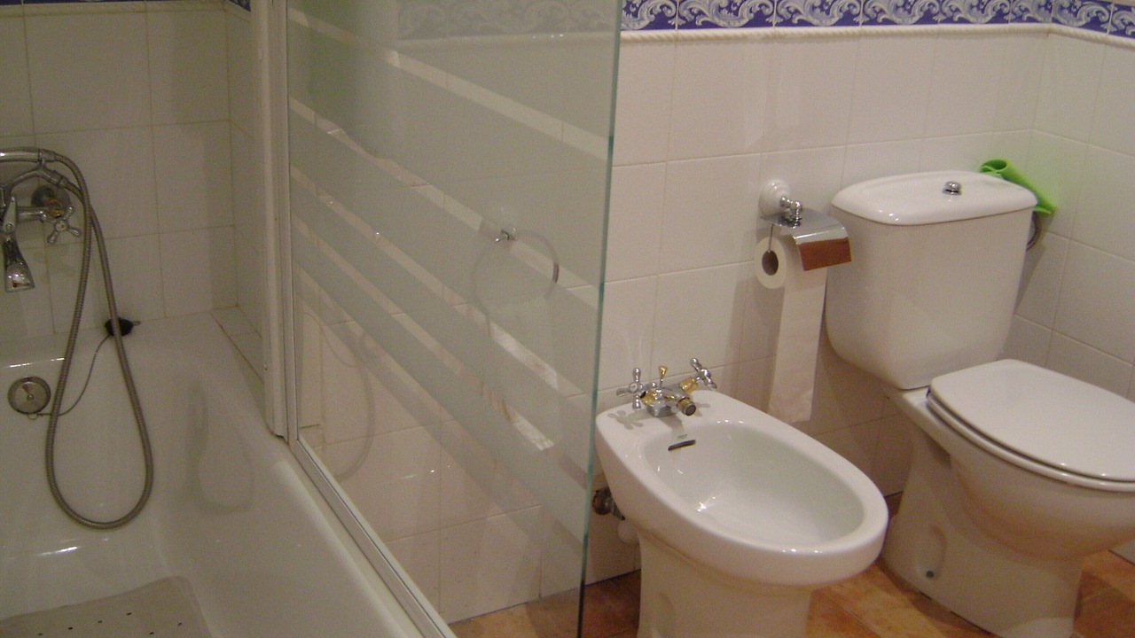 Photo of Bathroom in Campos