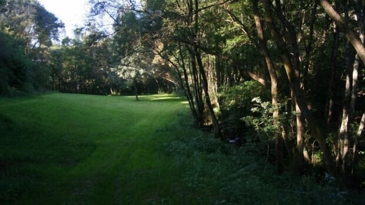 Photo of Outdoor in Santiago de Compostela