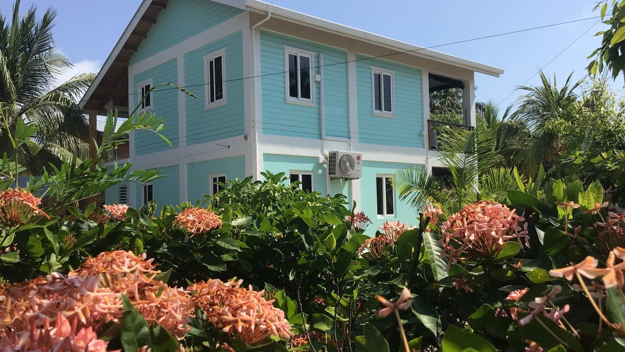 Photo of Others in Placencia