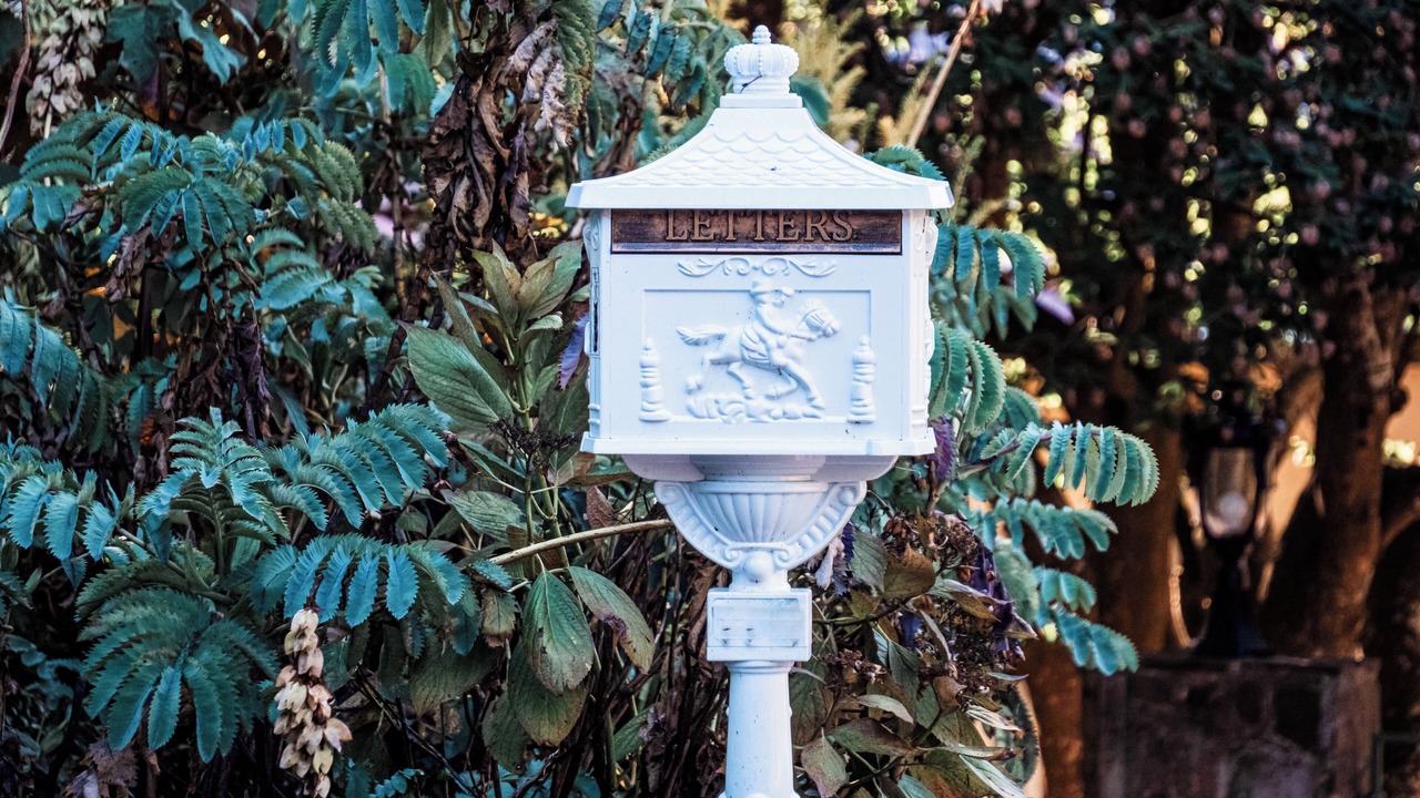 Photo of Outdoor in Mount Dandenong