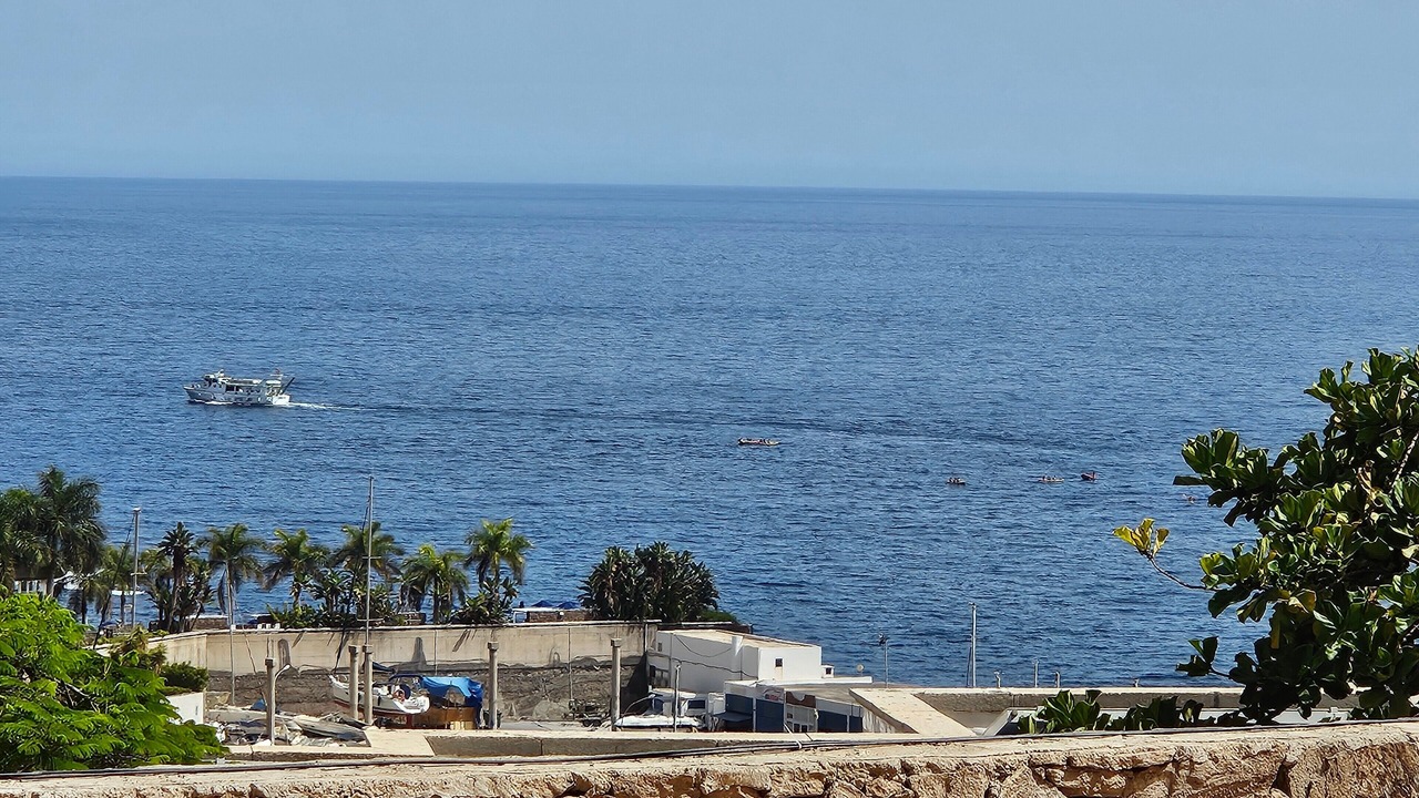 Photo of Others in Puerto Rico