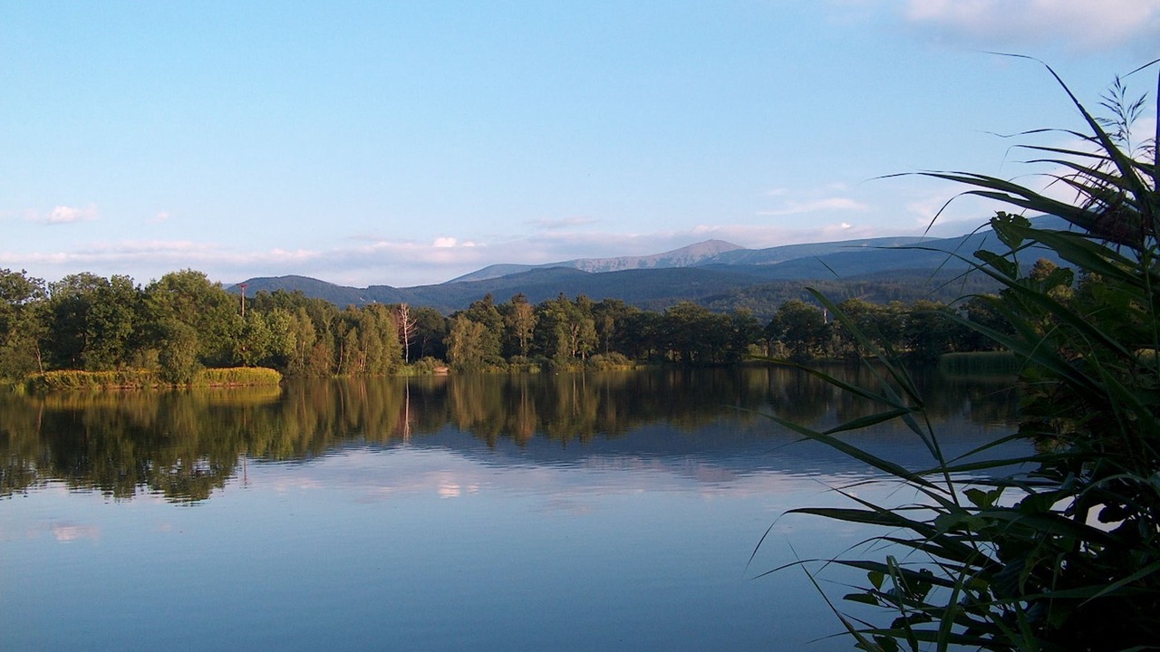 Photo of Others in Przesieka