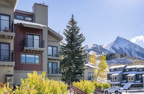 Mount Crested Butte Condo | Ski and Bike In/Out Condo on Mt. Crested Butte with Private Entrance. Sleeps 6