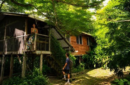 San Ignacio House | 2BR Unique Private Tree Top Cottage in Tropical Garden, Near San Ignacio Town