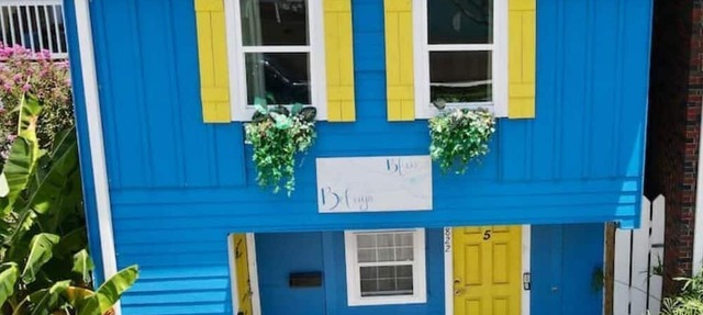 1.5 blks to beach. Pet friendly unit close to cruise terminal/local attractions in Galveston